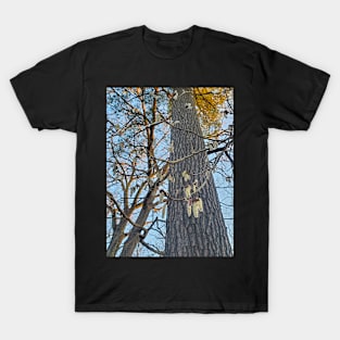 Dangling Seeds T-Shirt